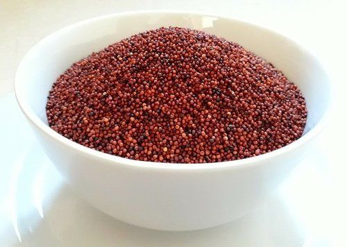 7. FINGER MILLET (RAGI)