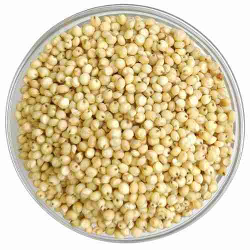 9. WHITE SORGHUM (JOWAR)