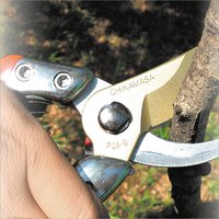 Pruning Shears for Professional PSA-G8