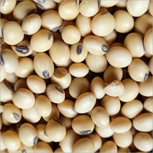 Whole Soybean Seeds