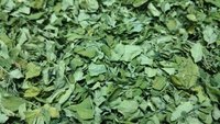 MORINGA LEAF