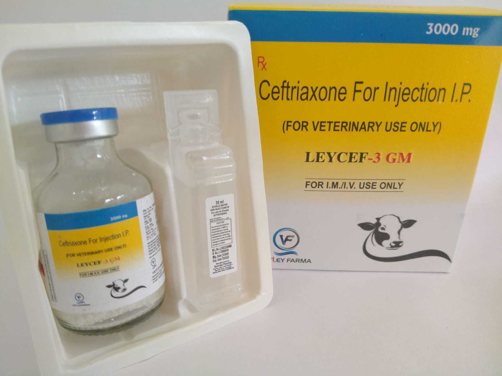 Veterinary Ceftriaxone 3 gm injection in  PCD franchise