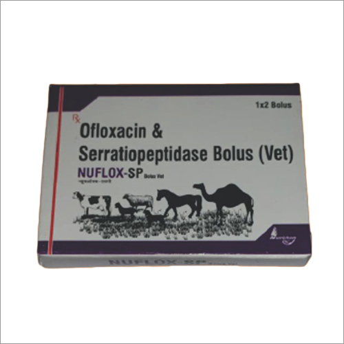 Ofloxacin And Serratiopeptidase Bolus