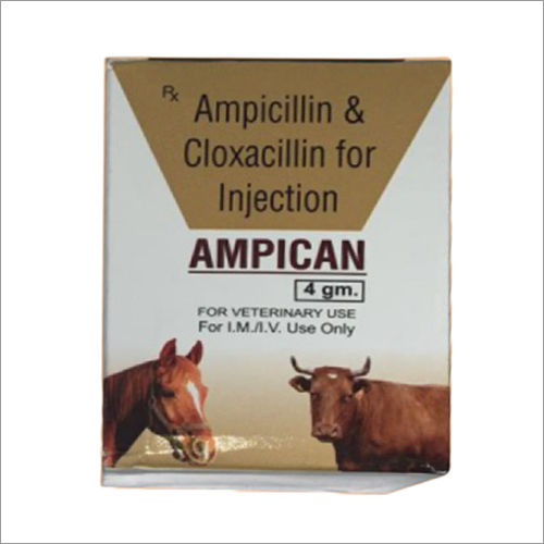 Liquid 4 Gm Ampicillin And Cloxacillin For Injection