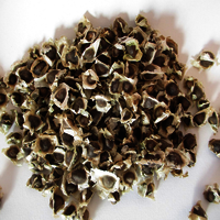 MORINGA SEED