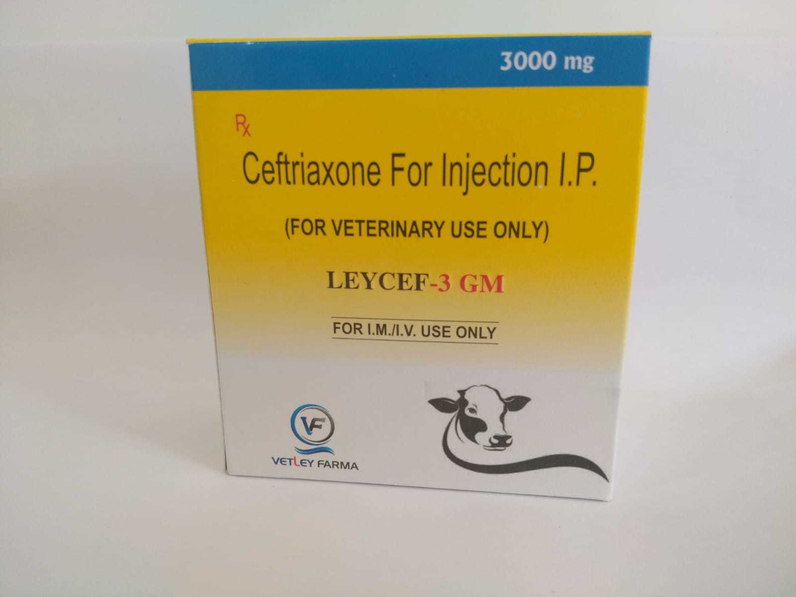 Ceftriaxone 3000 mg Injection In Pcd Farnchise