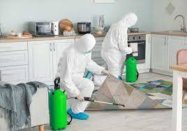 Home Sanitization Service
