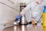 Disinfection Services