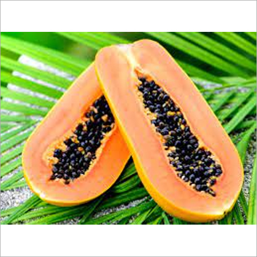 Fresh Papaya By SAMBHA AGRO FARMERS PRODUCER COMPANY LIMITED