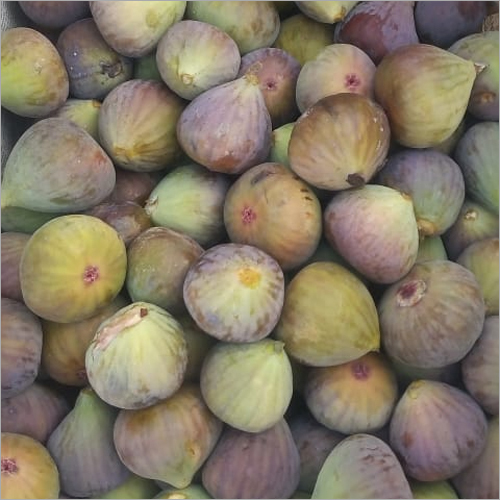 Fresh Figs By SAMBHA AGRO FARMERS PRODUCER COMPANY LIMITED