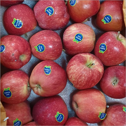 Fresh Apple By SAMBHA AGRO FARMERS PRODUCER COMPANY LIMITED
