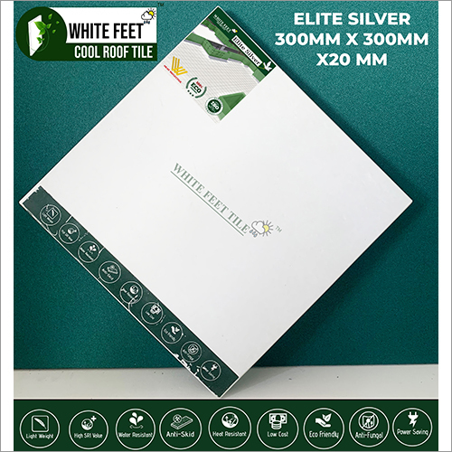 300x300x20 MM Elite Silver Tile