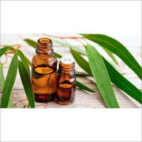 Eucalyptus Oil