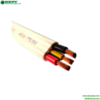 NSPV 2.5 mm Twin And Earth 2C And E Twin And Earth Cable