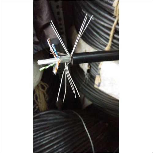 Cat 6 Dlink Armoured Cable