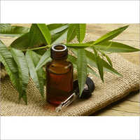 Tea Tree Oil