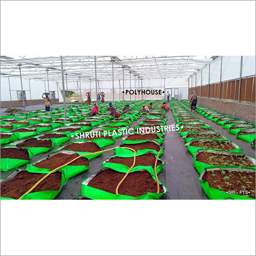 Farming Agriculture Polyhouse