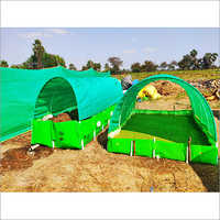 Farming Azolla Bed