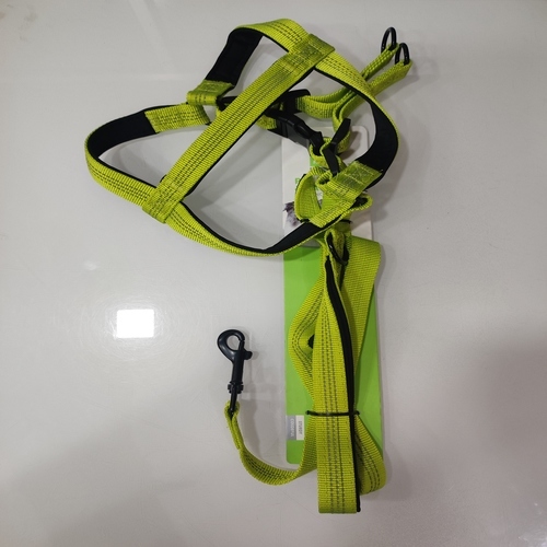 The Rich Pet Dog Florescent Harness with Leash