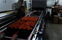 Eggs Washing Machine