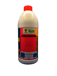 Phosphoking -phosphate Solubilizing Bacteria