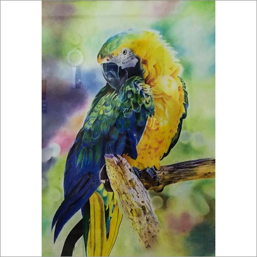 Bird Portraits Size: Customized