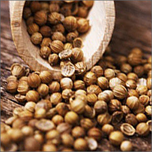 Indian Coriander Seeds