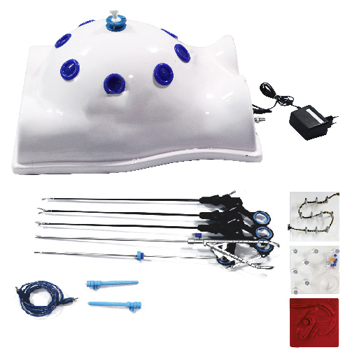 Laparoscopic  Virtual Endo Trainer Or Surgical Training Kit With Surgical Instruments.