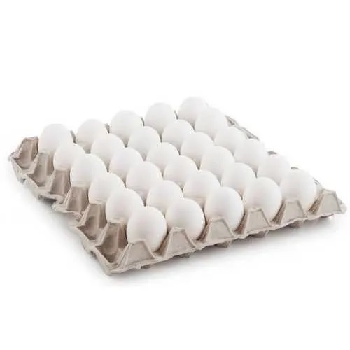 30 Egg Paper Egg Tray By M/S DIAMOND EGG TRAY CO.