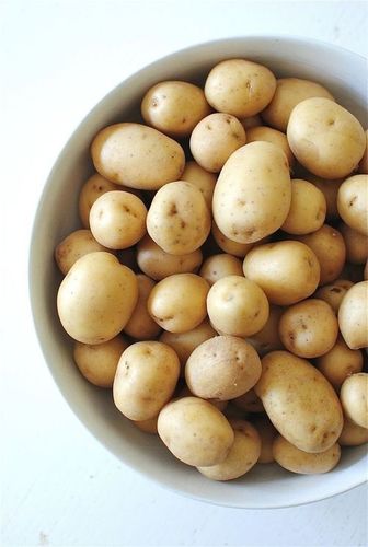 Fresh Potato
