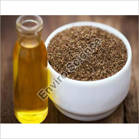 Ajwain Oil