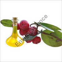 Wintergreen Oil