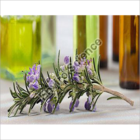 Thyme Oil By ENVIRO SCIENCE
