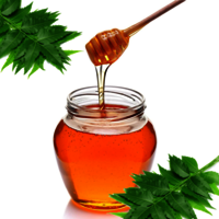 Azadirachta Indica (Neem) Honey