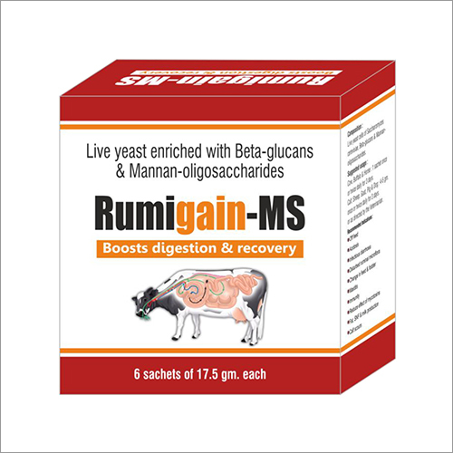 Rumigain-MS Boost Digestion Powder