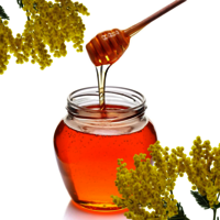 Acacia(Babool) Honey