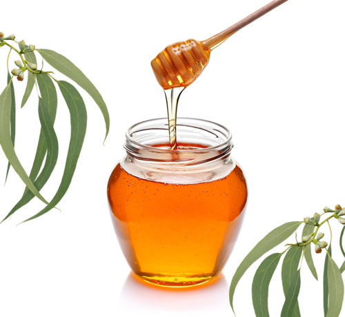 Eucalyptus (Nilgiri) Honey Packaging: Piece