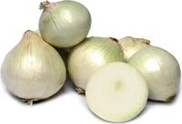 Fresh White Onions