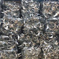 Silver Colored Gp Coil Scrap