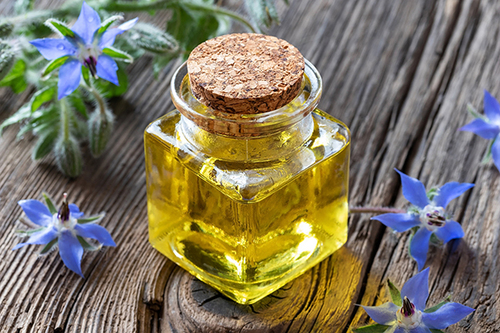 BORAGE OIL Premium