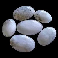 Scolecite palm stones