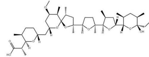 Nigericin(NIGERICIN SODIUM SALT)