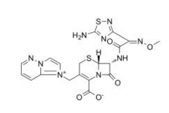 Cefozopran (SCE-2787)