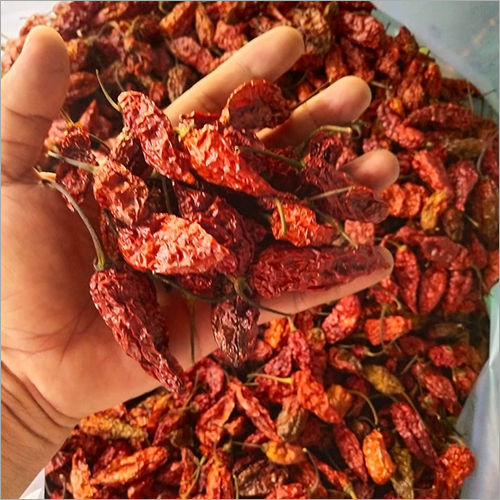 King Chilli Dried At Best Price In Jorhat Assam Kuhi Enterprises