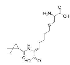 Cilastatin (MK0791)