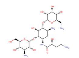 Amikacin (BAY416651)