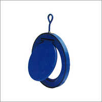 Check Valve