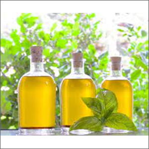 Basil Essential Oil