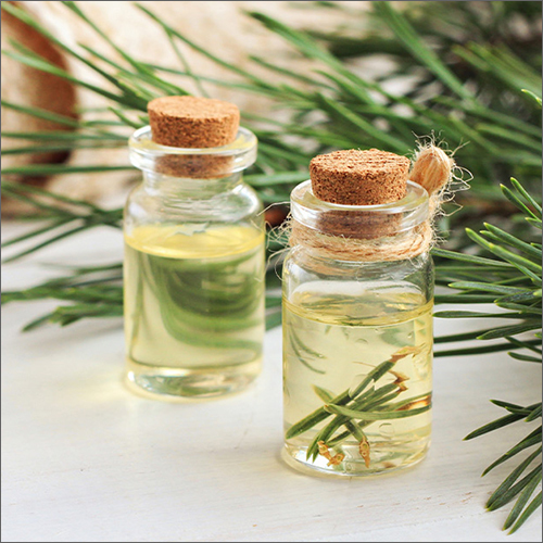Pine Essential Oil Ingredients: Herbal Extract