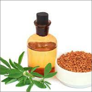 Fenugreek Essential Oil Ingredients: Herbal Extract